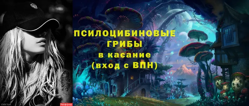 Псилоцибиновые грибы MAGIC MUSHROOMS  хочу наркоту  Каменск-Шахтинский 